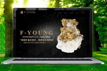 ӥ̶�������ﱦʯ